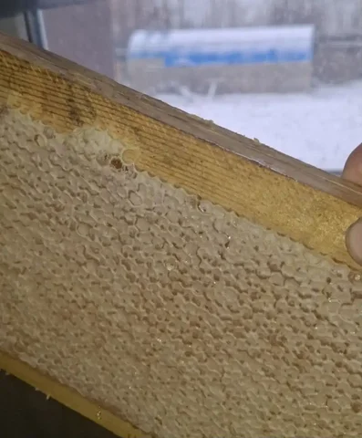 Мед в сотах рамка - частное объявление в Емельяново