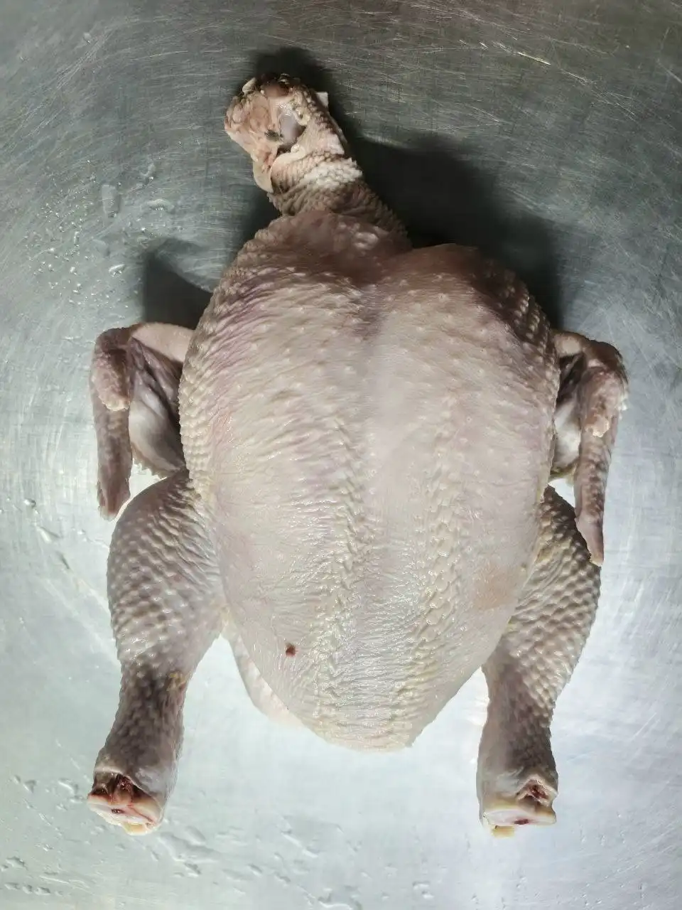 Продажа свежей домашней курочки в Емельяново