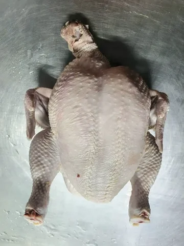 Продажа свежей домашней курочки в Емельяново - Разное в Емельяново