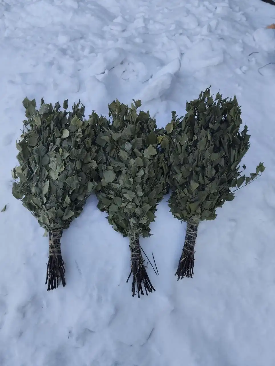 Продам берёзовые веники