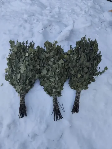 Продам берёзовые веники - Хобби и отдых в Емельяново