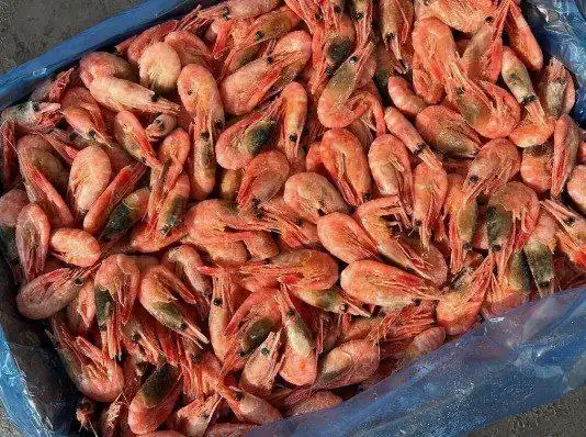 Рыбная продукция от компании "Сиверия": форель, семга, лосось, морепродукты, красная икра, ягода - Продукты питания (Барахолка) в Красноярск