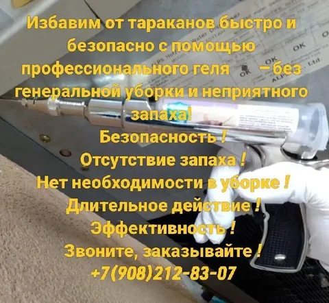 Услуги по уничтожению грызунов и насекомых в Красноярске - Медицинские консультации в Красноярск