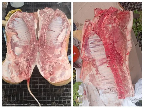 Продажа свиного мяса с собственного хозяйства - Продукты животноводства в Емельяново