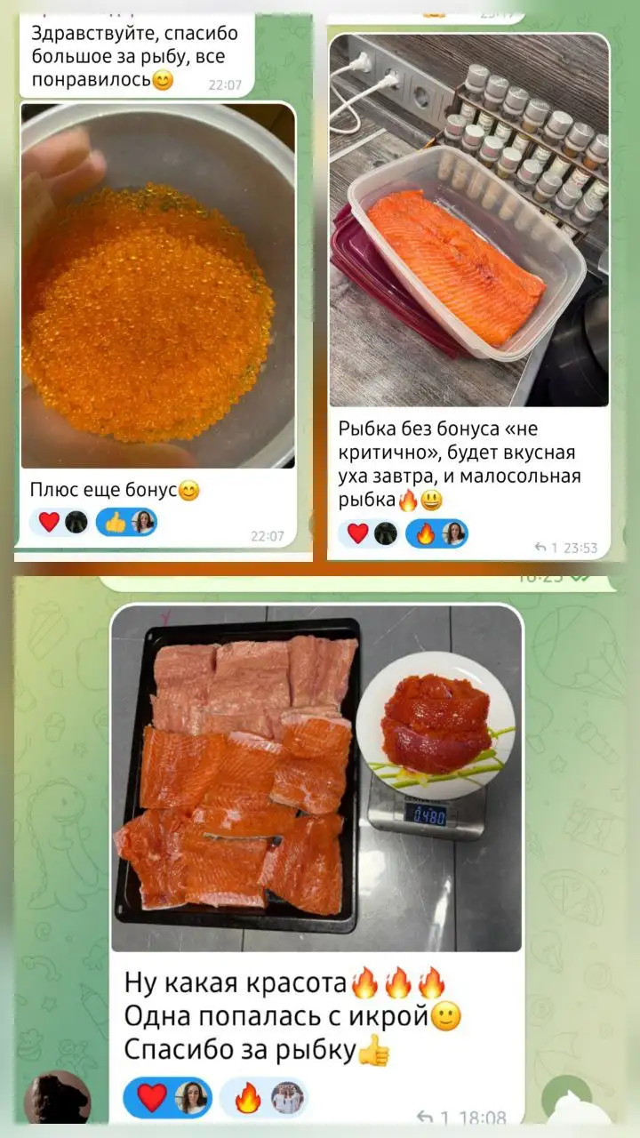 Сбор заказов на Саянскую форель - Рыба (Животные) в Красноярск