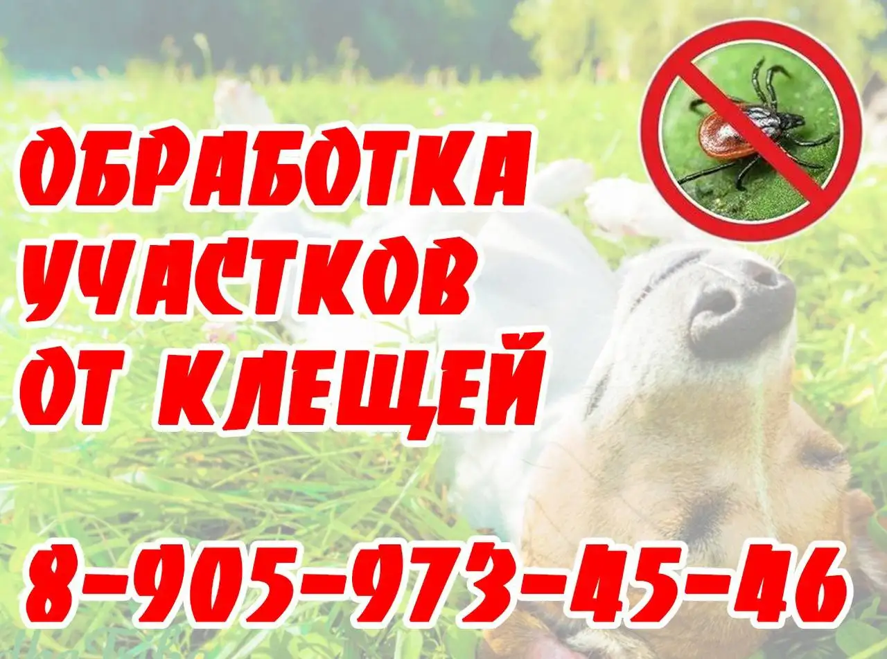 Обработка участков от клещей средством Циперметрин 250 - Обработка участков/дезинсекция (Услуги) в Красноярск