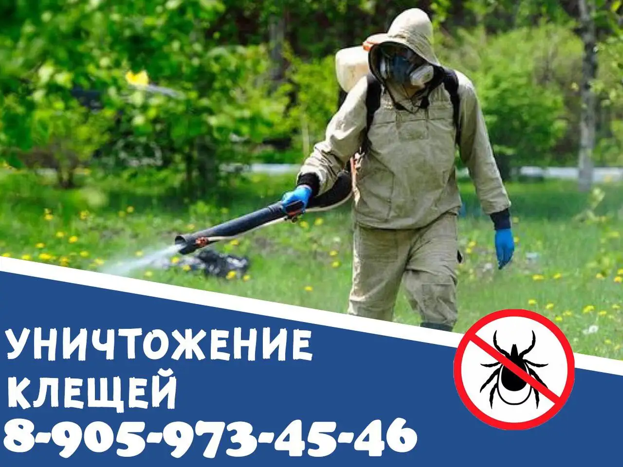 Акарицидная обработка участков от клещей - Акарицидная обработка (Услуги) в Красноярск