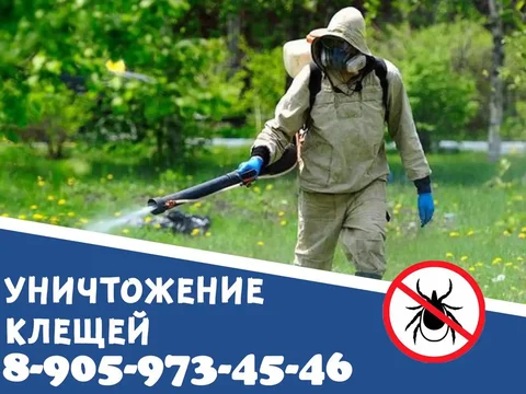 Акарицидная обработка участков от клещей - Акарицидная обработка в Красноярск