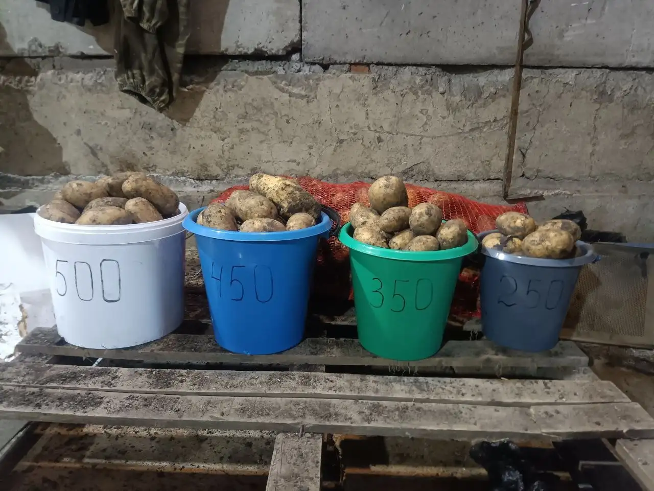 Продам деревенский картофель - Продукты (Барахолка) в Красноярск