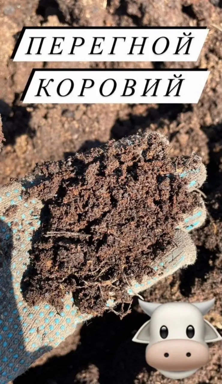 Продажа перегноя в Красноярске - Удобрения (Для дома и дачи) в Красноярск