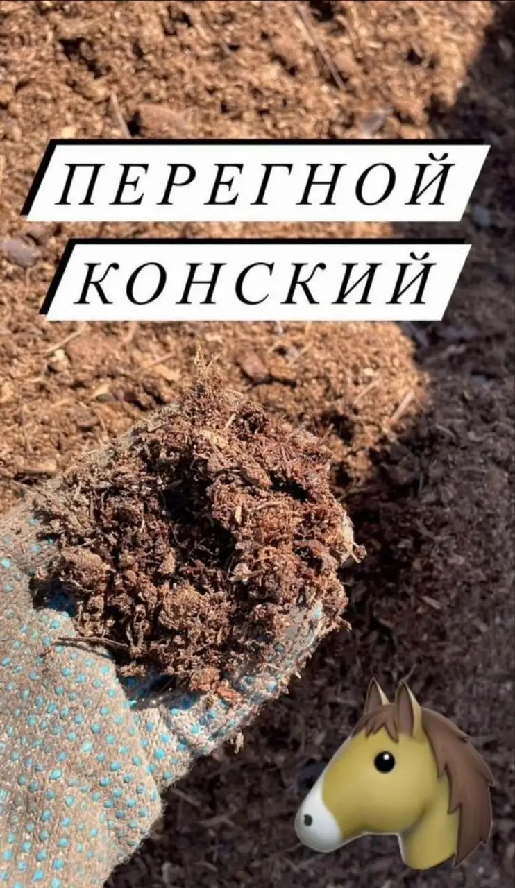 Продажа перегноя в Красноярске - Удобрения (Для дома и дачи) в Красноярск