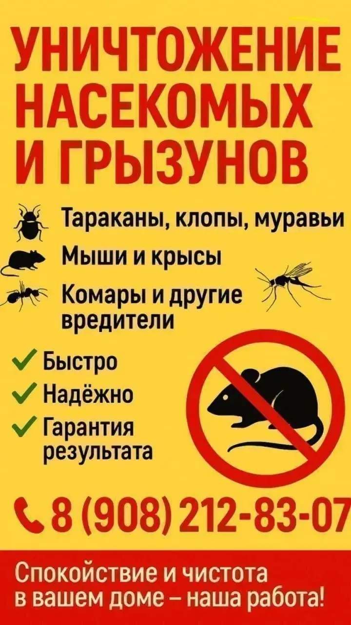 Уничтожение грызунов и насекомых - Услуги в Красноярск