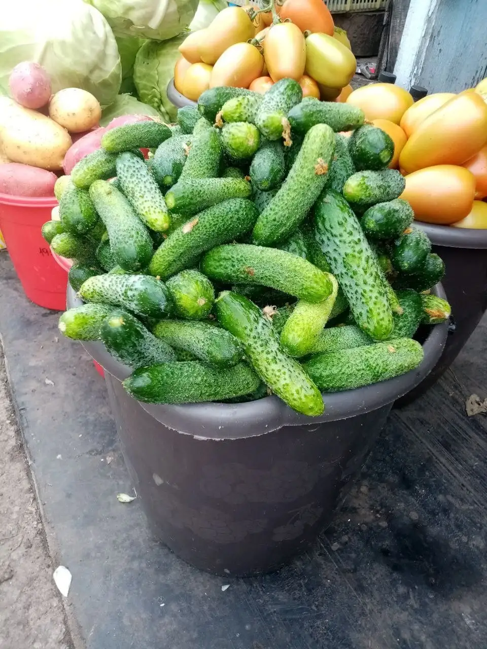 Продажа клубники Виктория и огурцов - Продукты (Барахолка) в Красноярск