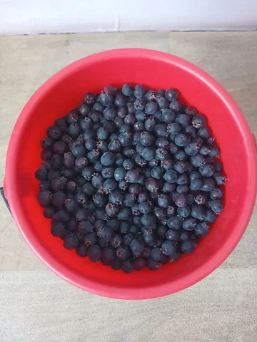 Продам иргу - Для дома и дачи в Емельяново