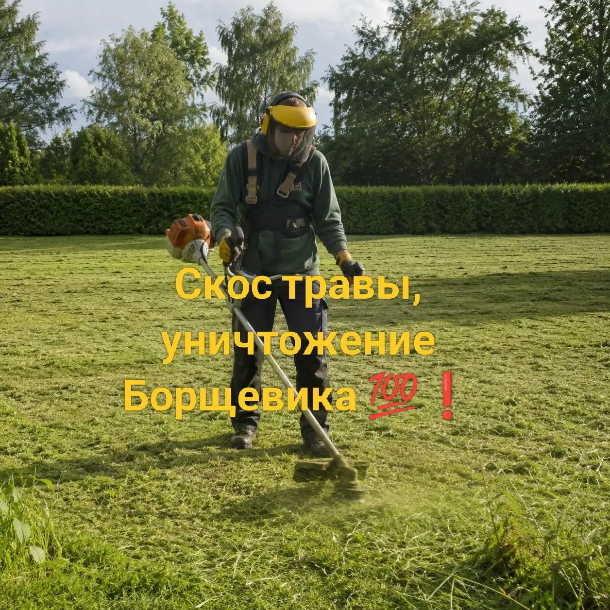 Скос травы и уничтожение борщевика - Услуги в Красноярск