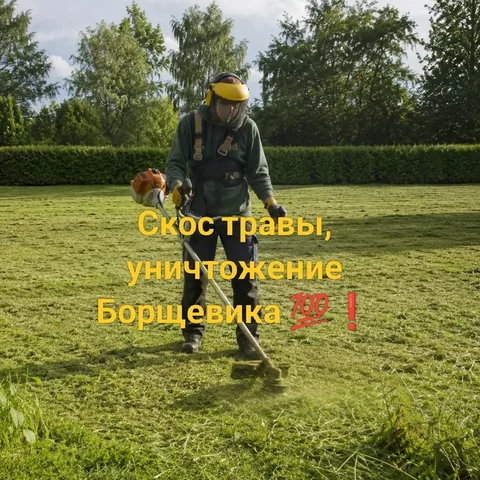 Скос травы и уничтожение борщевика - Наращивание ресниц в Красноярск