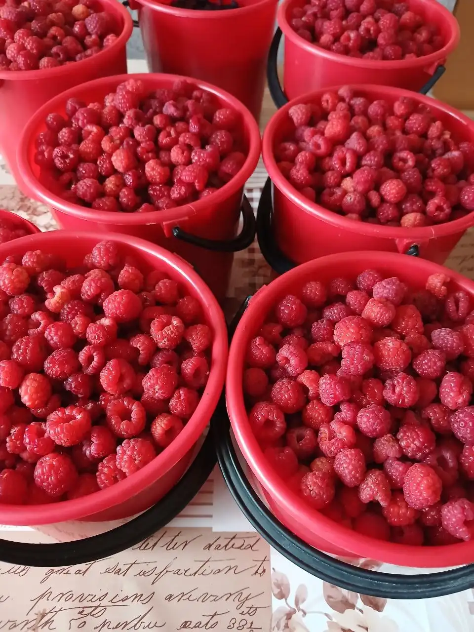 Продам малину - Барахолка в Емельяново