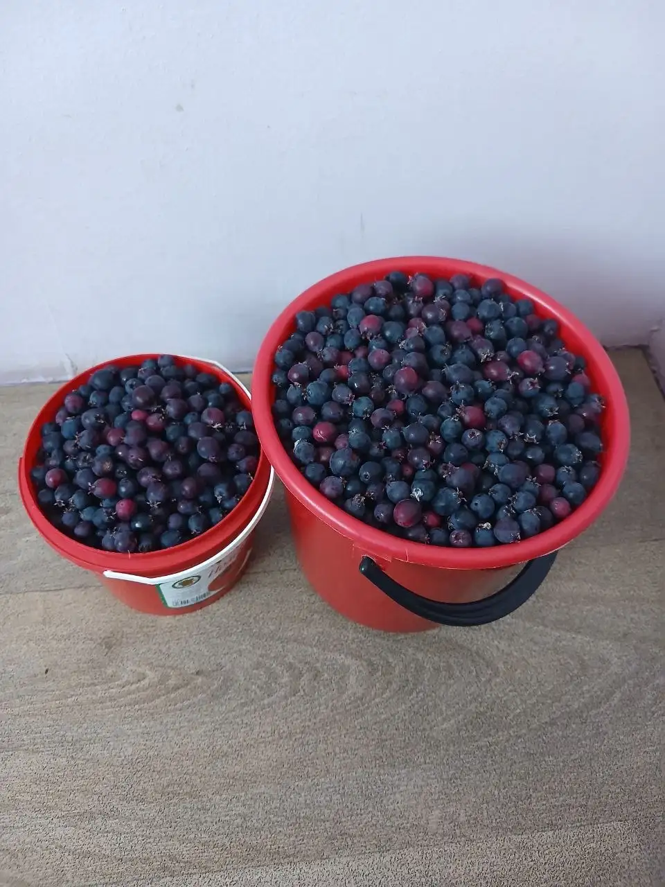 Продам малину и иргу - Для дома и дачи в Емельяново