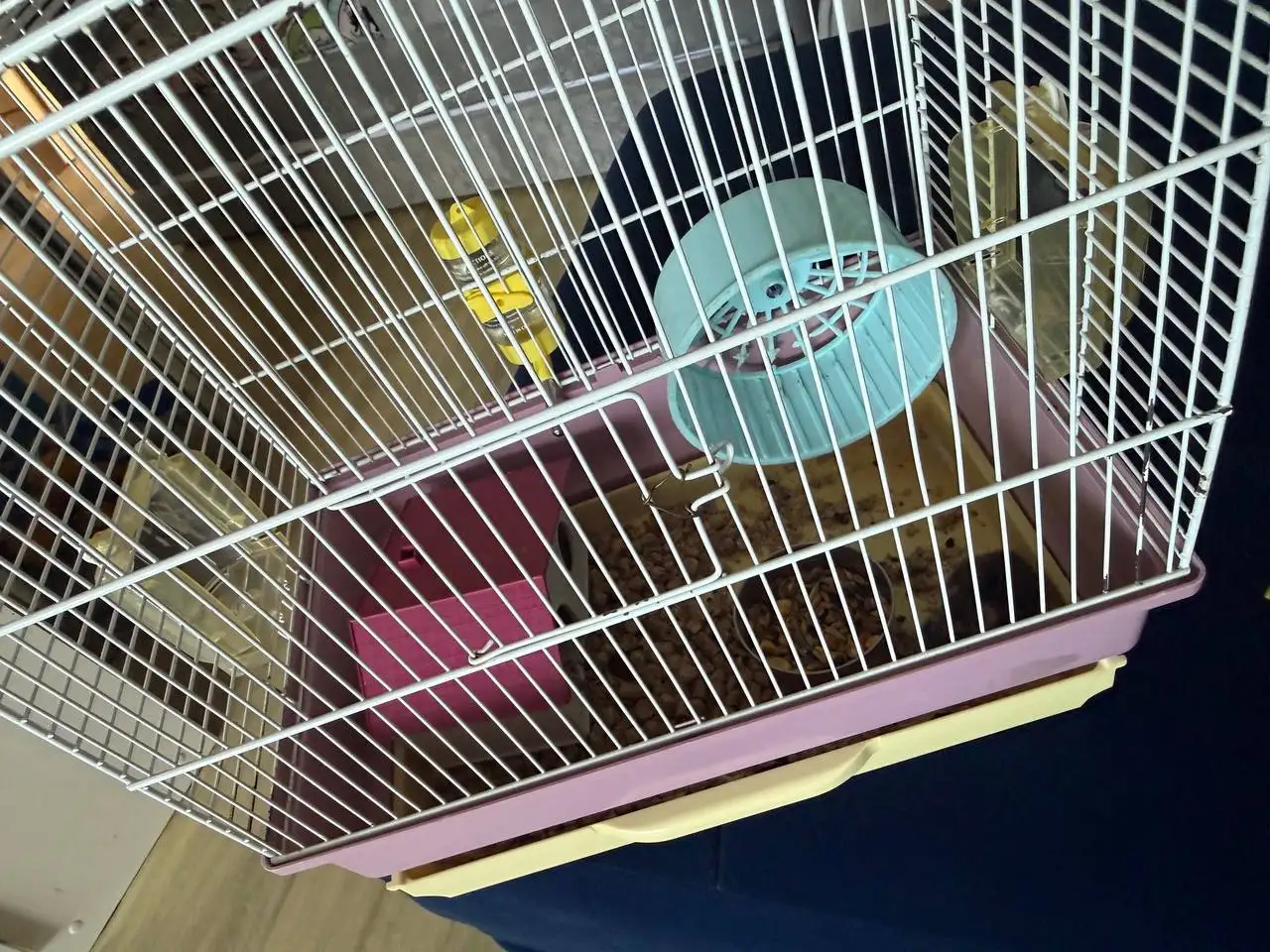 Продам джунгарского хомяка девочку с клеткой и кормом - Животные в Емельяново