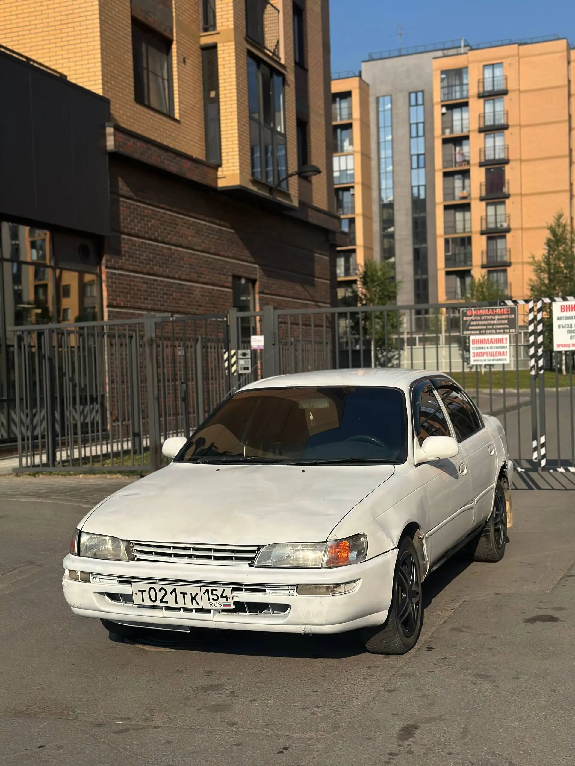 Toyota Corolla (Verso) 1.4 автомат - Легковые автомобили (Авто) в Новосибирск
