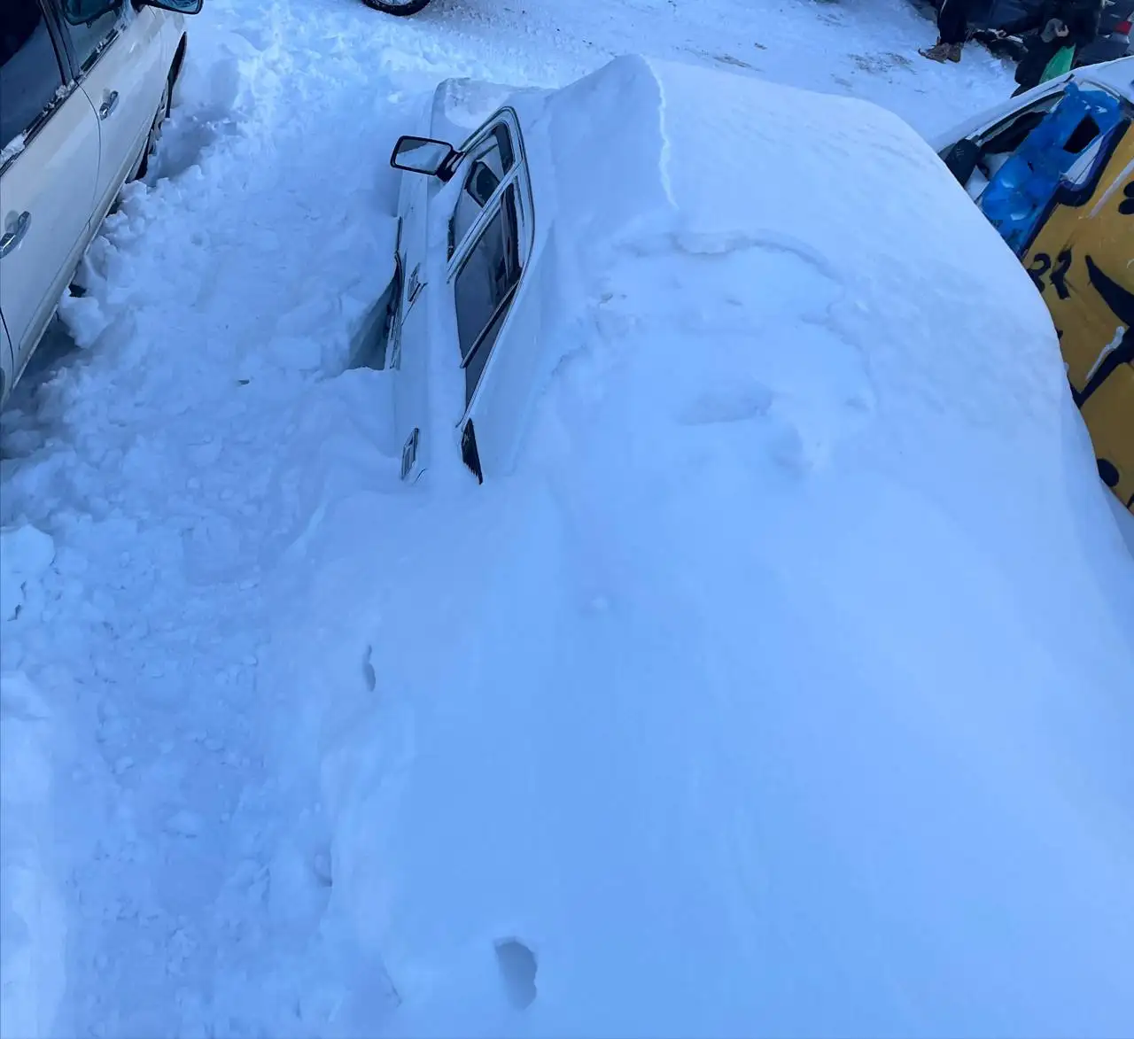 Продажа автомобиля Волга 3110 - Легковые автомобили (Авто) в Новосибирск