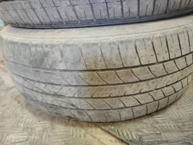 Продам летние шины Bridgestone Potenza 195/55R16 - Шины и диски (Авто) в Новосибирск