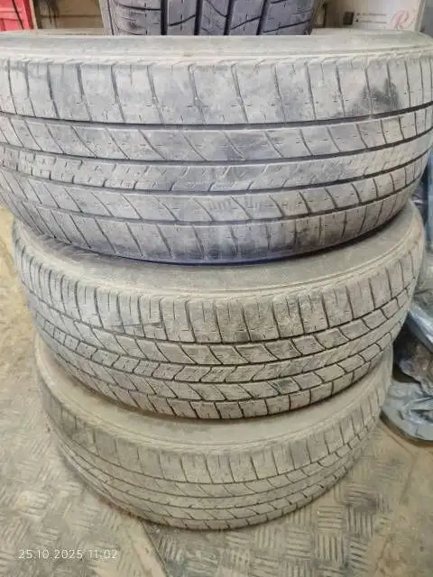 Продам летние шины Bridgestone Potenza 195/55R16 - Шины и диски (Авто) в Новосибирск