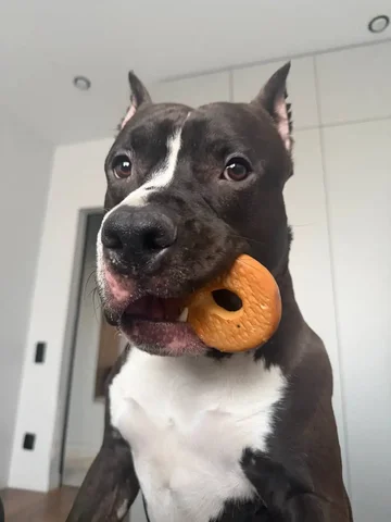 Ищу Mercedes S-class 221 5.5 - Легковые автомобили ВАЗ в Новосибирск