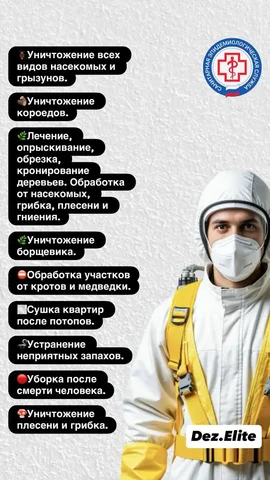 Дезинфекция и дезинсекция - частное объявление в Иваново