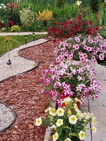 Сообщество садоводов для совместных закупок - Воздушные шары в Иваново