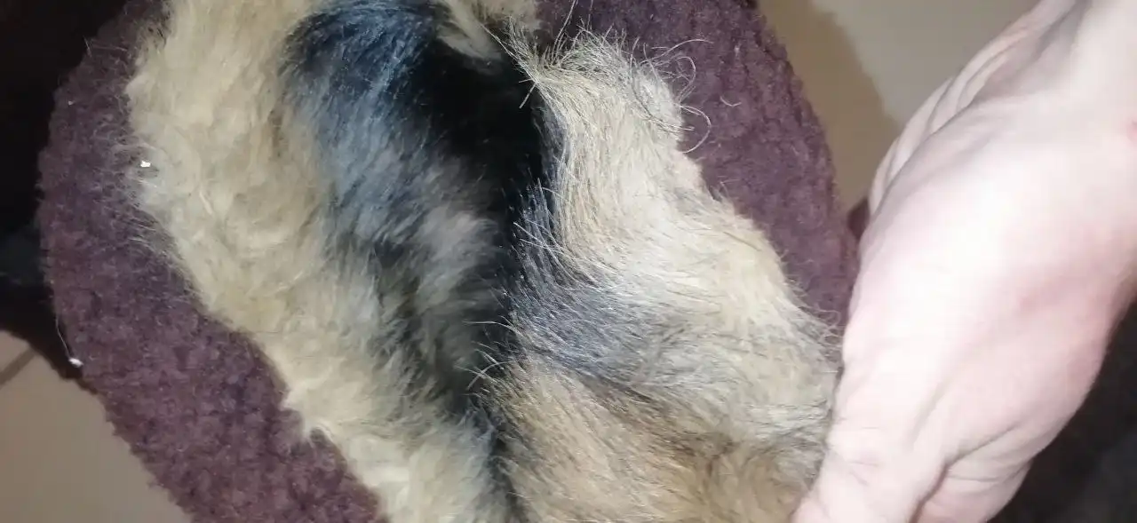 Мужские лётные унты 42 размер - Обувь (Одежда) в Иваново