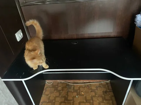 Игровой стол с небольшим сколом - Электроника для красоты в Иваново