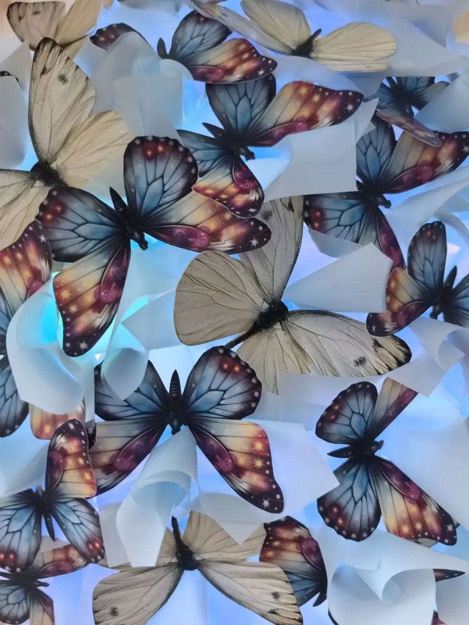 Светящиеся букеты из бабочек - Подарки (Барахолка) в Иваново