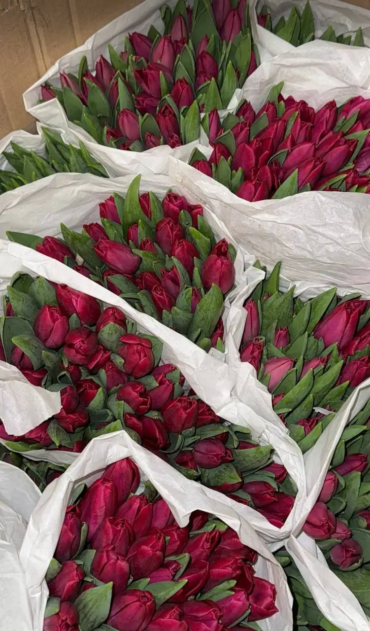 Принимаю заказы с бесплатной доставкой - Барахолка в Иваново