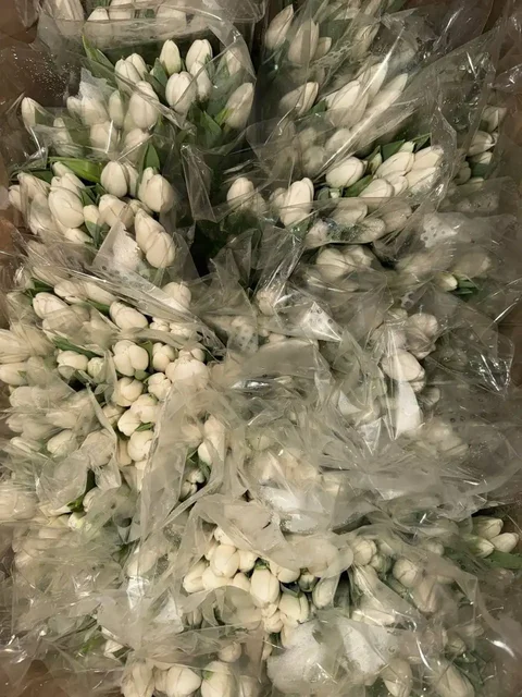 Принимаю заказы с доставкой по городу - Совместные закупки в Иваново