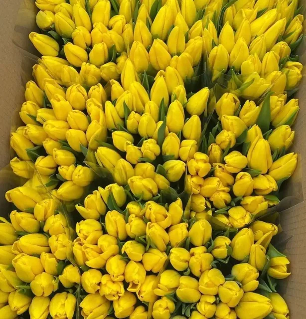 Подарок близким - Совместные закупки в Иваново