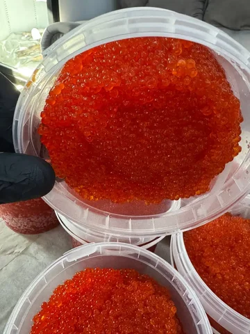 Принимаем заказы на свежие морепродукты - Продукты питания в Иваново
