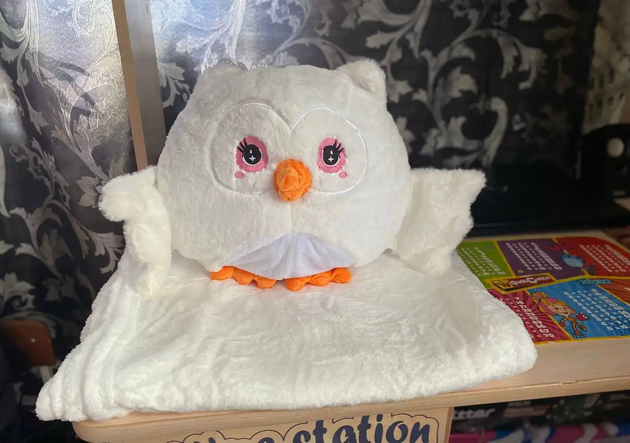 Игрушки с пледами