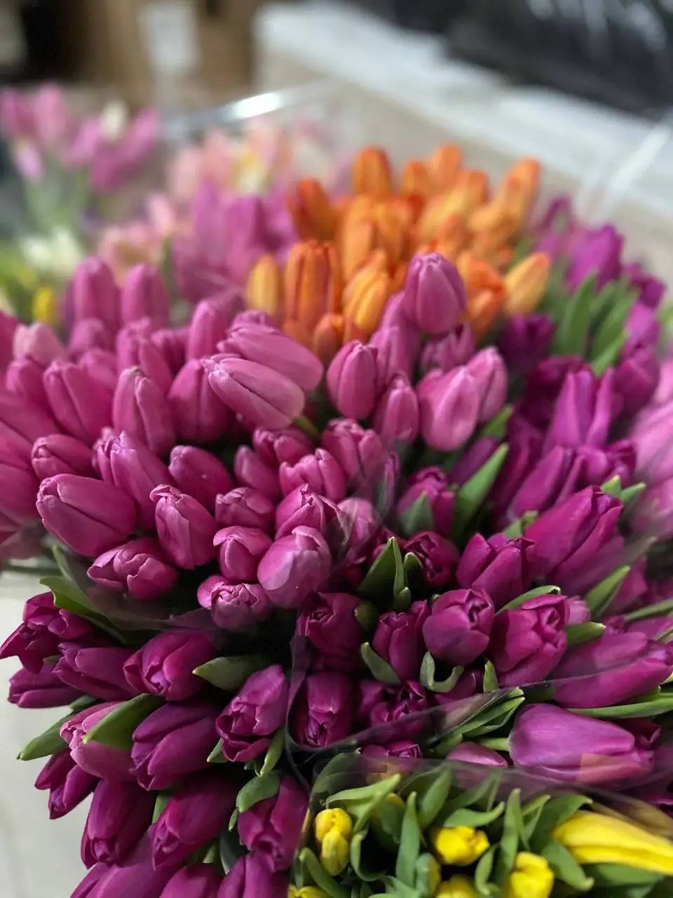 Шикарные тюльпаны к 8 Марта - Цветы (Хобби и отдых) в Оренбург