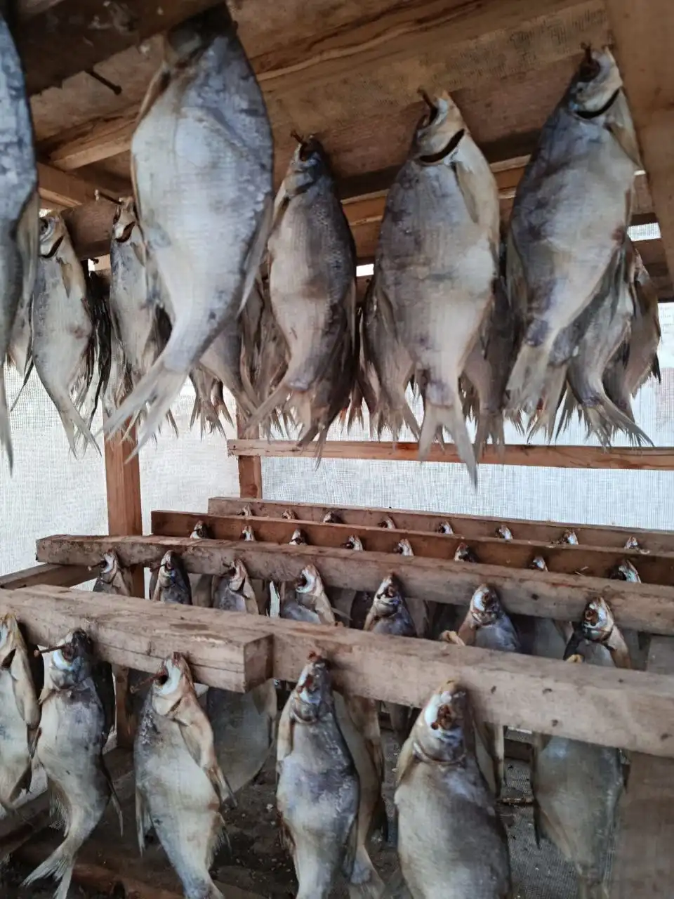 Продажа берёзовых веников и рыбы