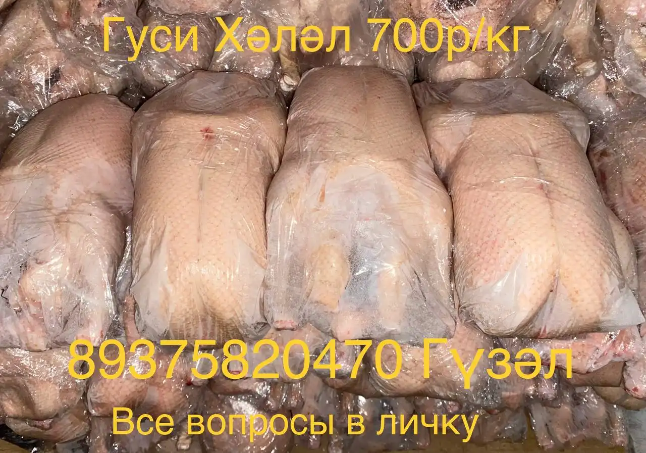 Продажа тушек гуся