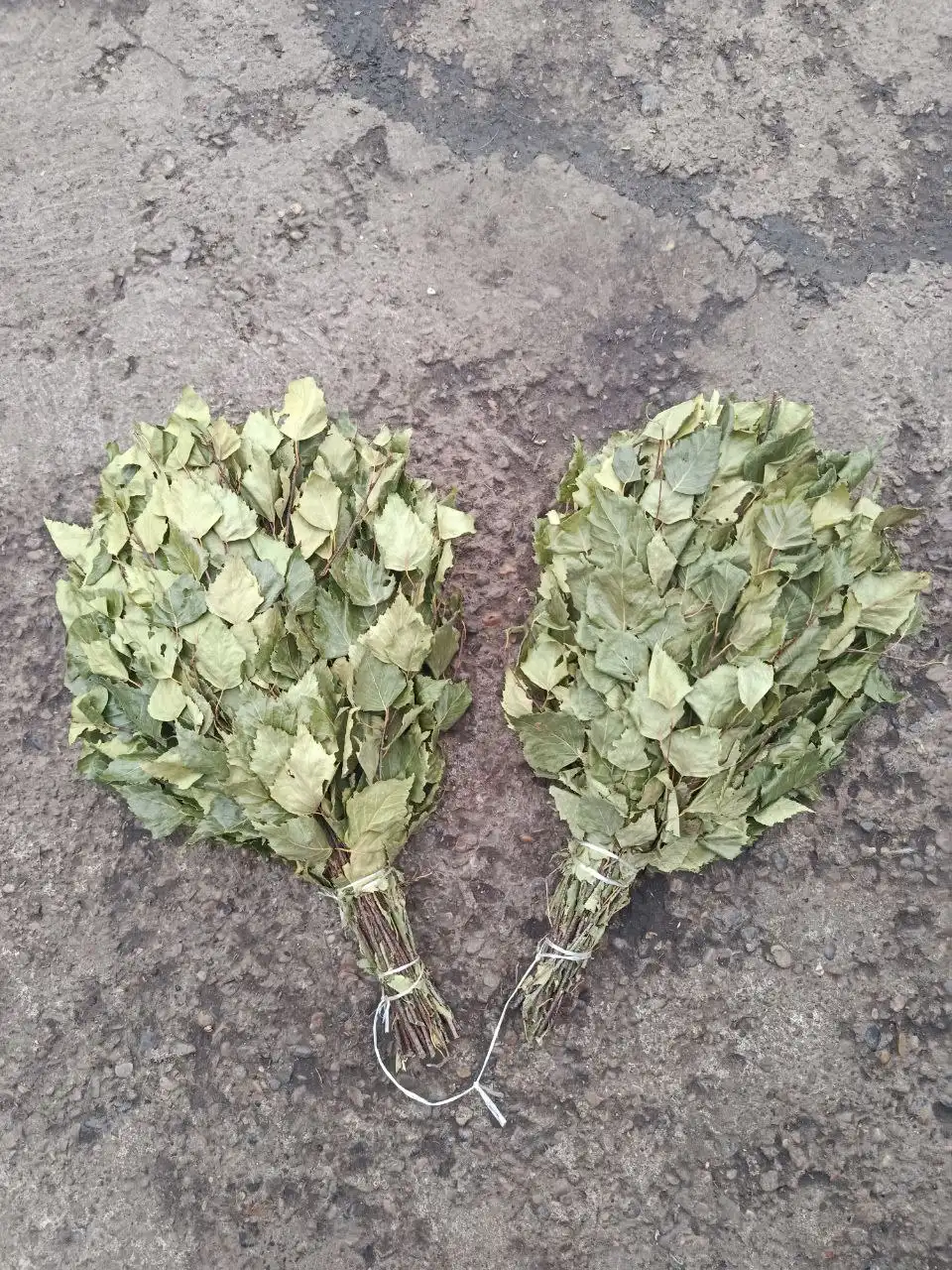 Продажа березовых веников и рыбы