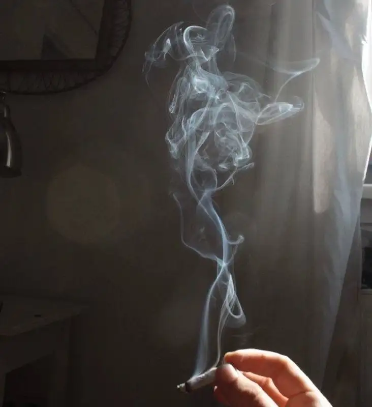 Услуги озонирования и нейтрализации запаха табака - Клининг, уборка (Услуги) в Москва