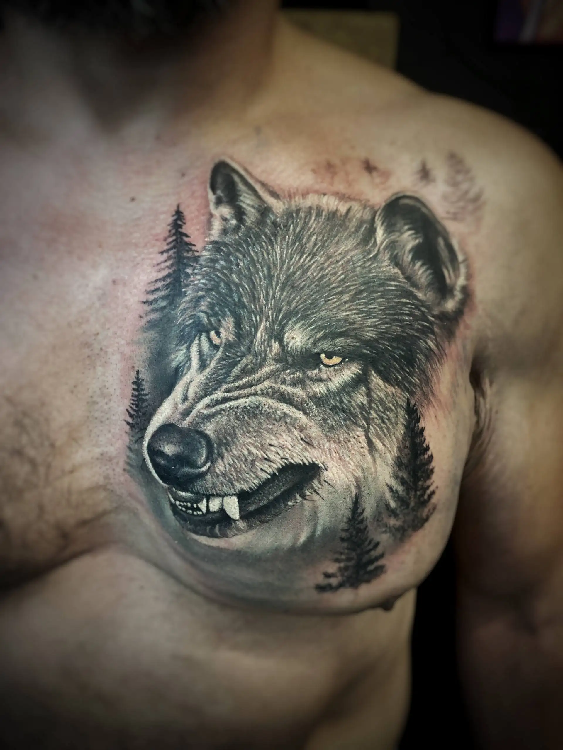 Тату-студия SHAMAN в Москве - Татуировки (Услуги) в Москва