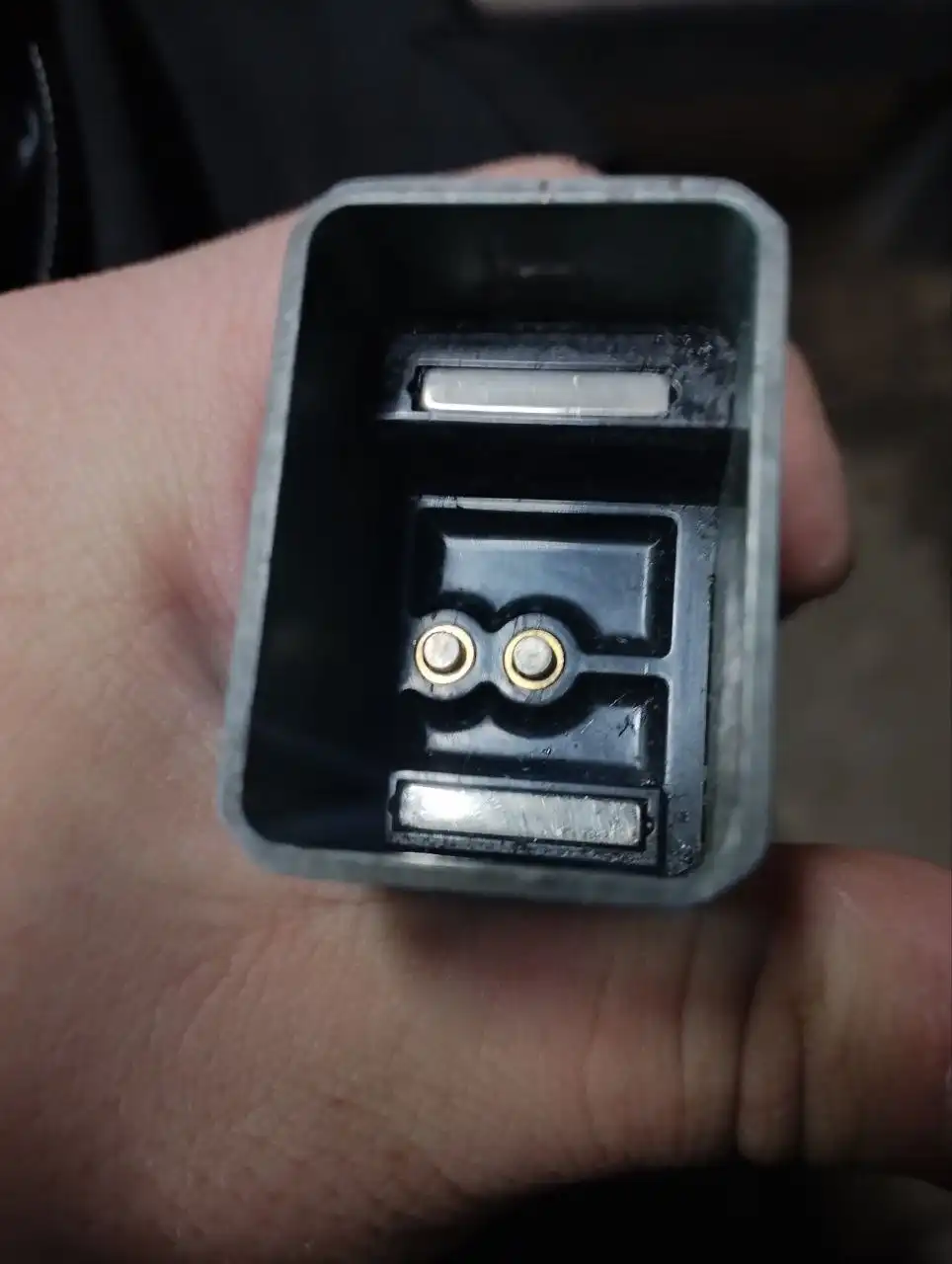 Продам пасито 2