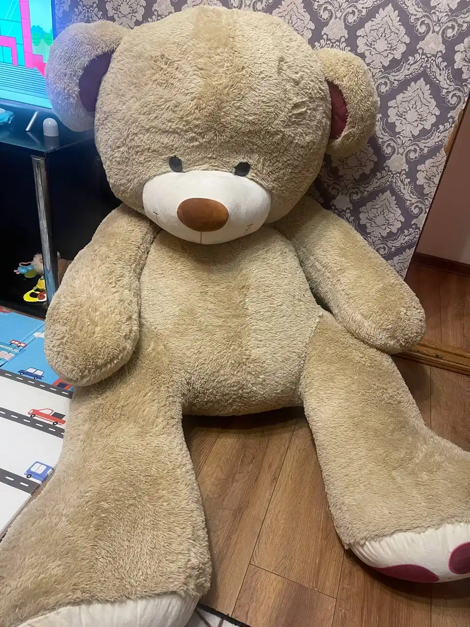 Продам медведя - Животные в Ставрополь