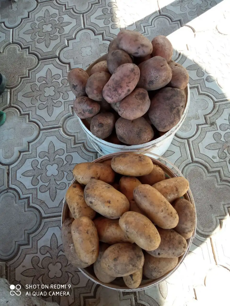 Домашняя картошка