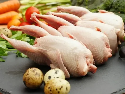 Продажа перепелов - Животные в Ставрополь