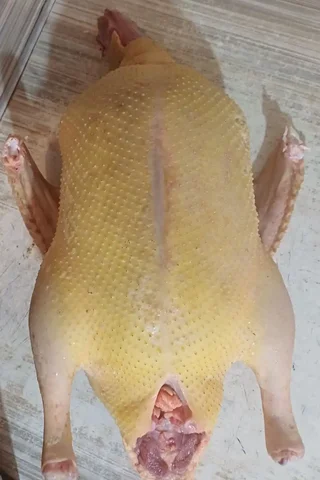 Продажа мяса индоутки - Животные в Ставрополь