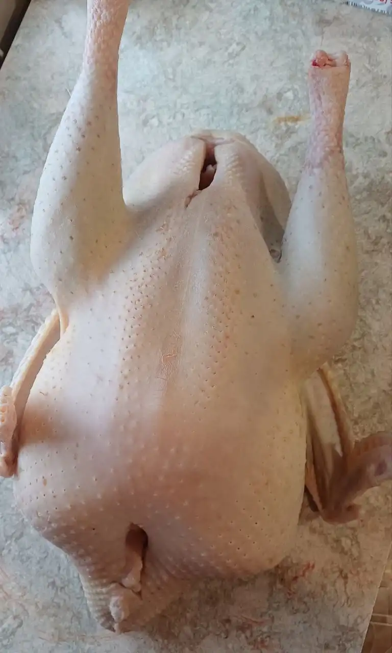 Продажа домашней индейки